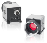 动物行为分析系统