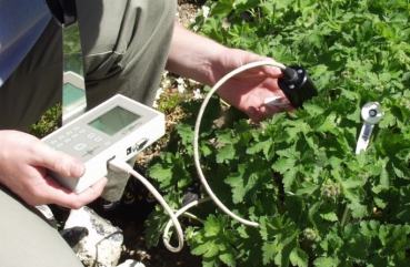 Handy PEA植物效率分析仪