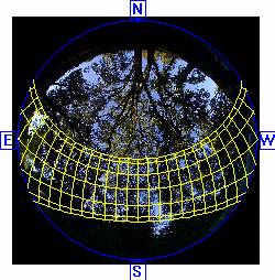 HemiView数字植物冠层分析系统