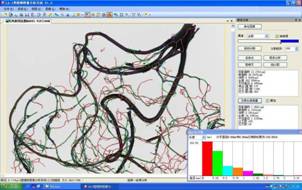LA-S植物根系图像分析系统