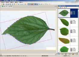 LA-S植物叶面图像分析系统