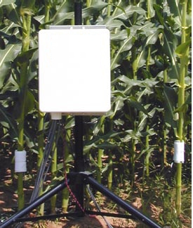 Flow1000探针式植物茎流测量系统