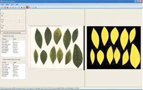 SI 700叶面图像分析系统