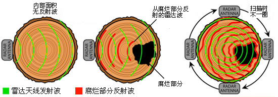 TRU树木雷达检测系统