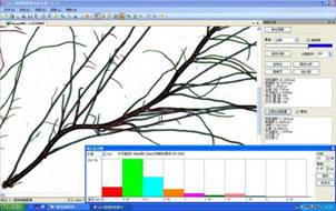 QT-RWC植物根系分析系统