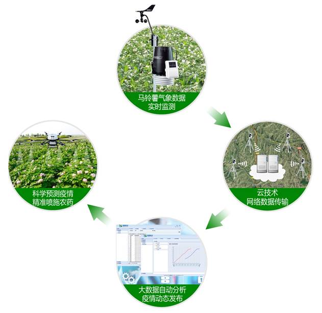 马铃薯晚疫病预警系统