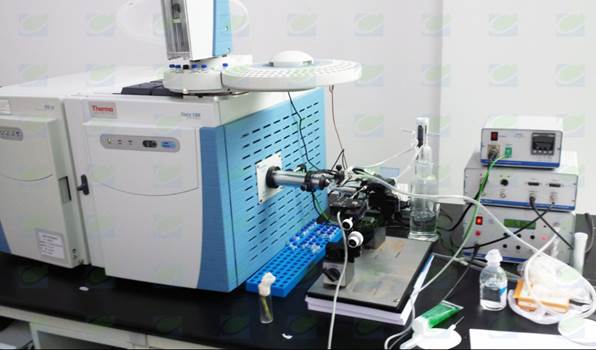 质谱与昆虫触角电位联用系统在海南农业科学院调试完成