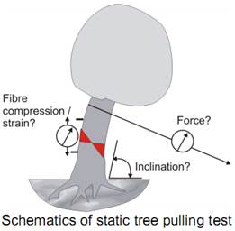 PiCUS TreeQinetic树木拉伸测试仪