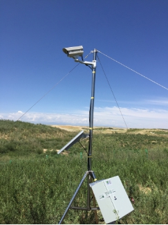植物物候观测系统在国内多地完成部署并交付使用